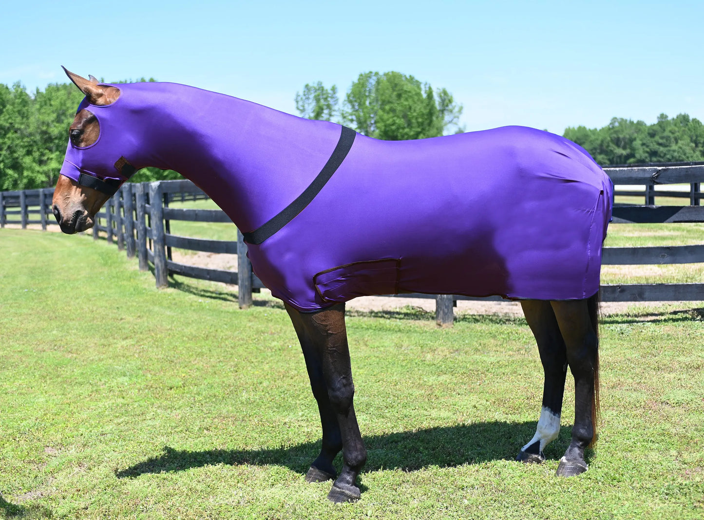 Gatsby Full Body Slicker With Zipper