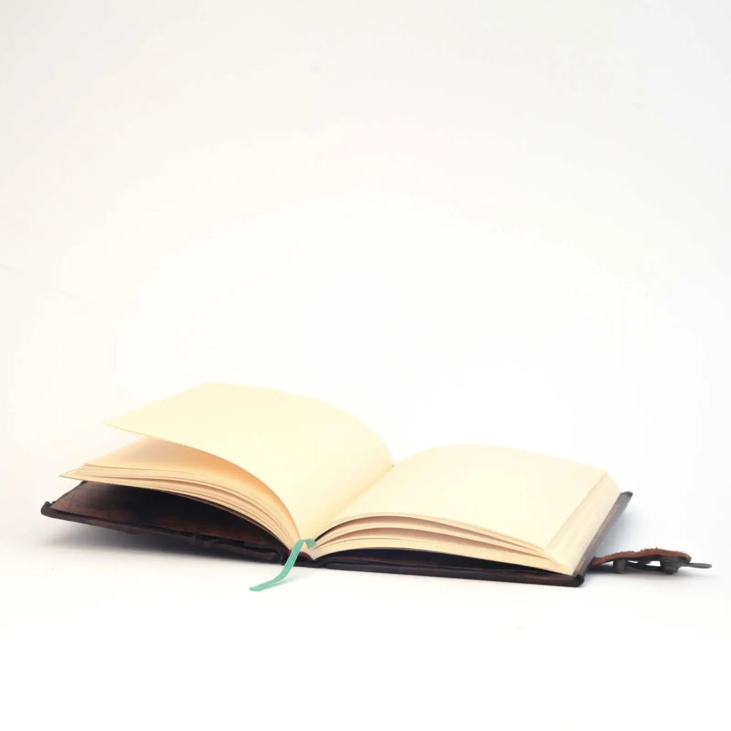 Equine Journal Diary Notebook, Unlined