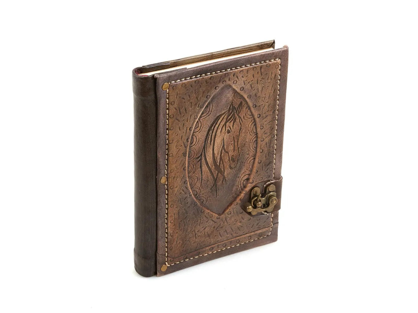 Equine Journal Diary Notebook, Unlined