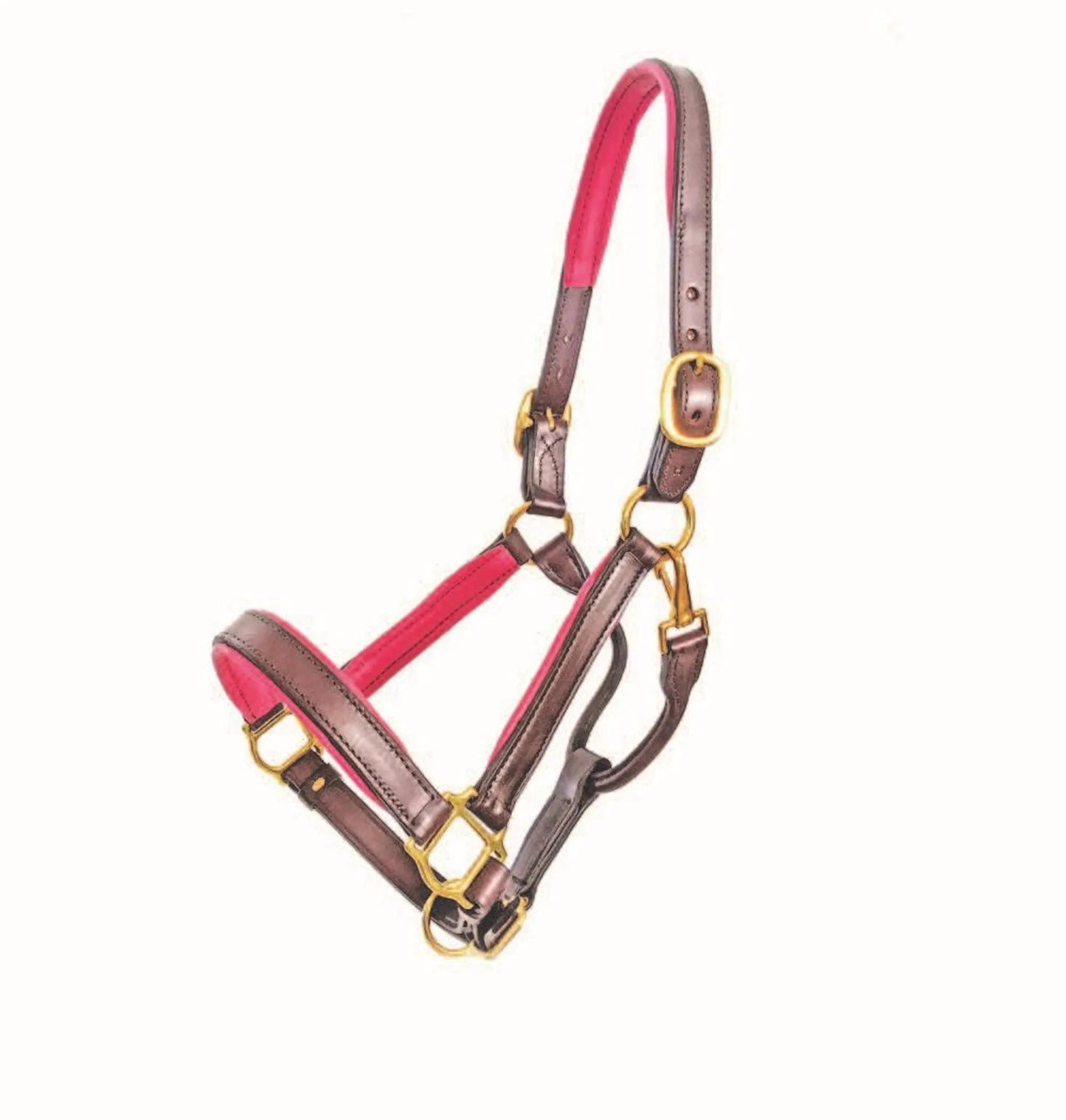 1" Brown Padded Halter