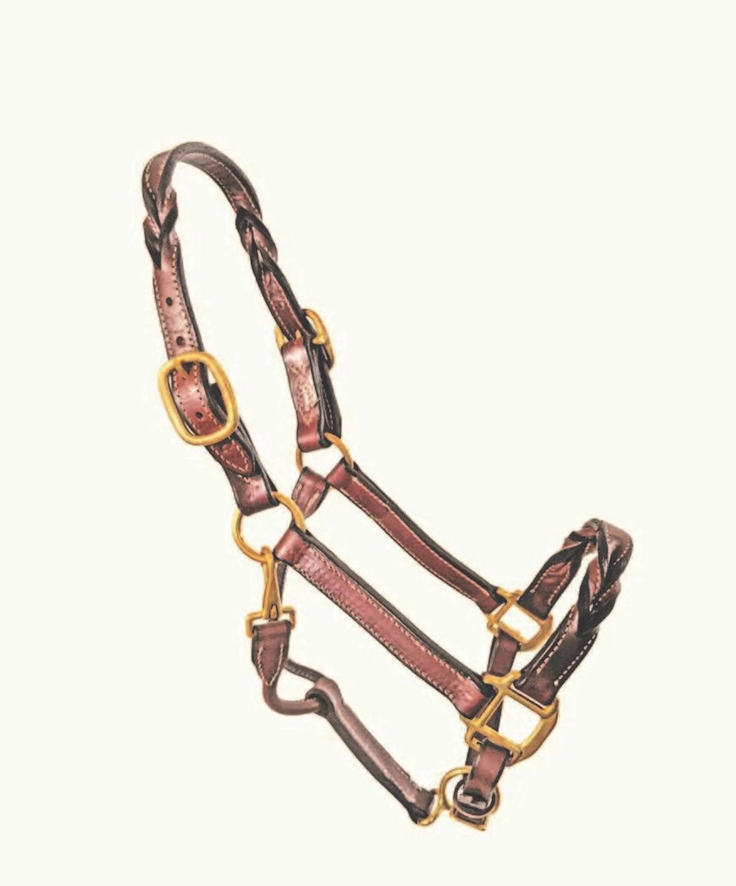 Twisted Leather Halter