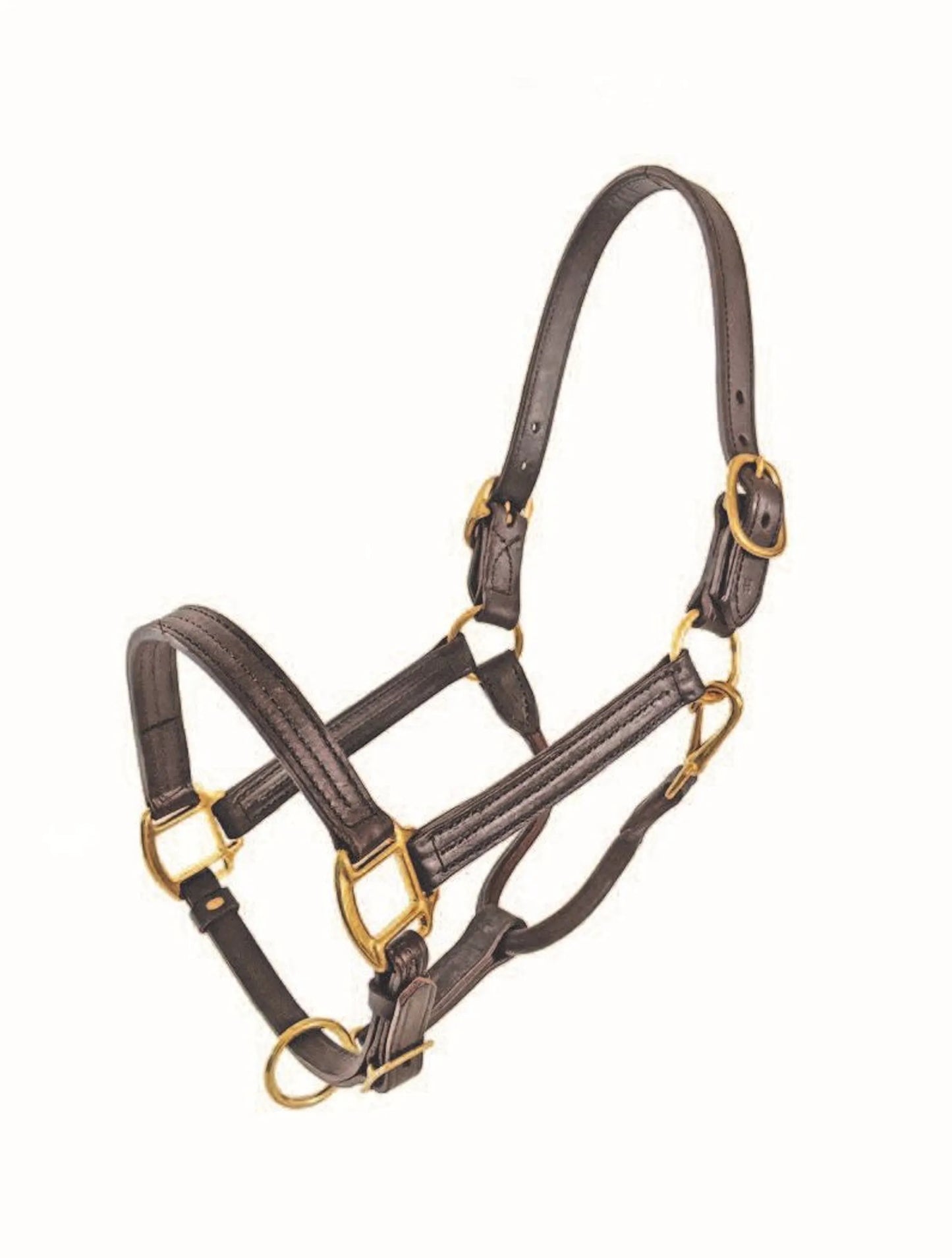 1" Track Halter