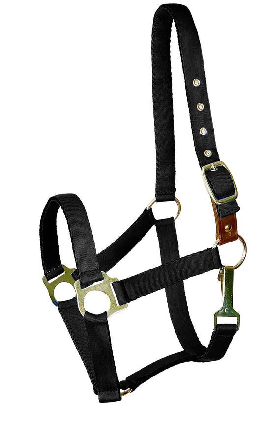 Gatsby Ultra Soft Nylon Safety Halter: Large Sizes