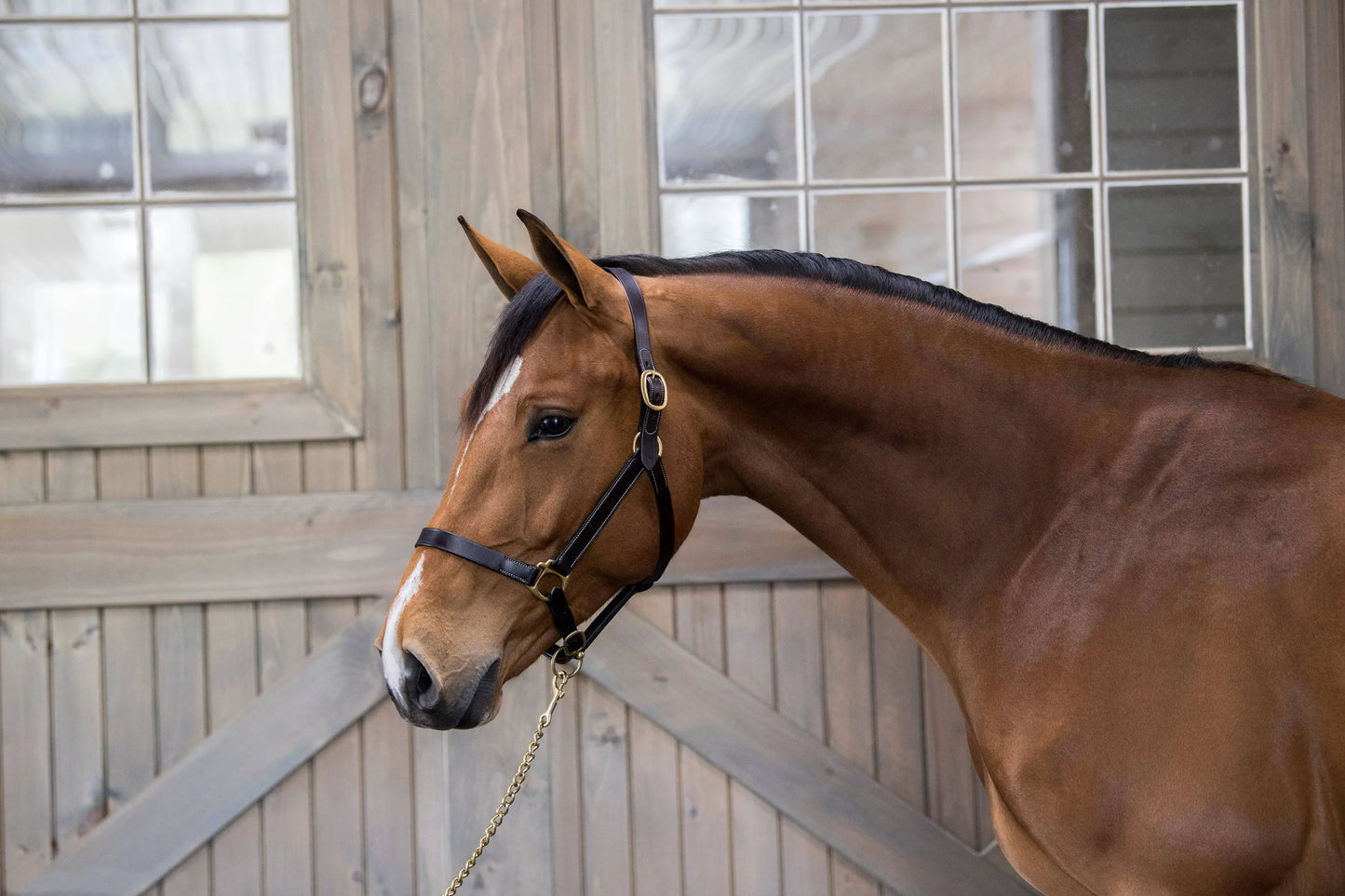 Gatsby Leather Adjustable Turnout Halter without Snap