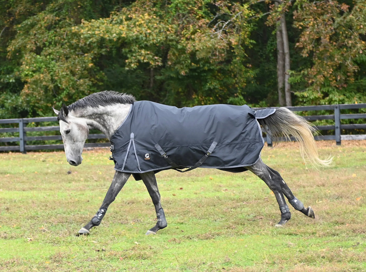 Gatsby 600D Waterproof Turnout Sheet