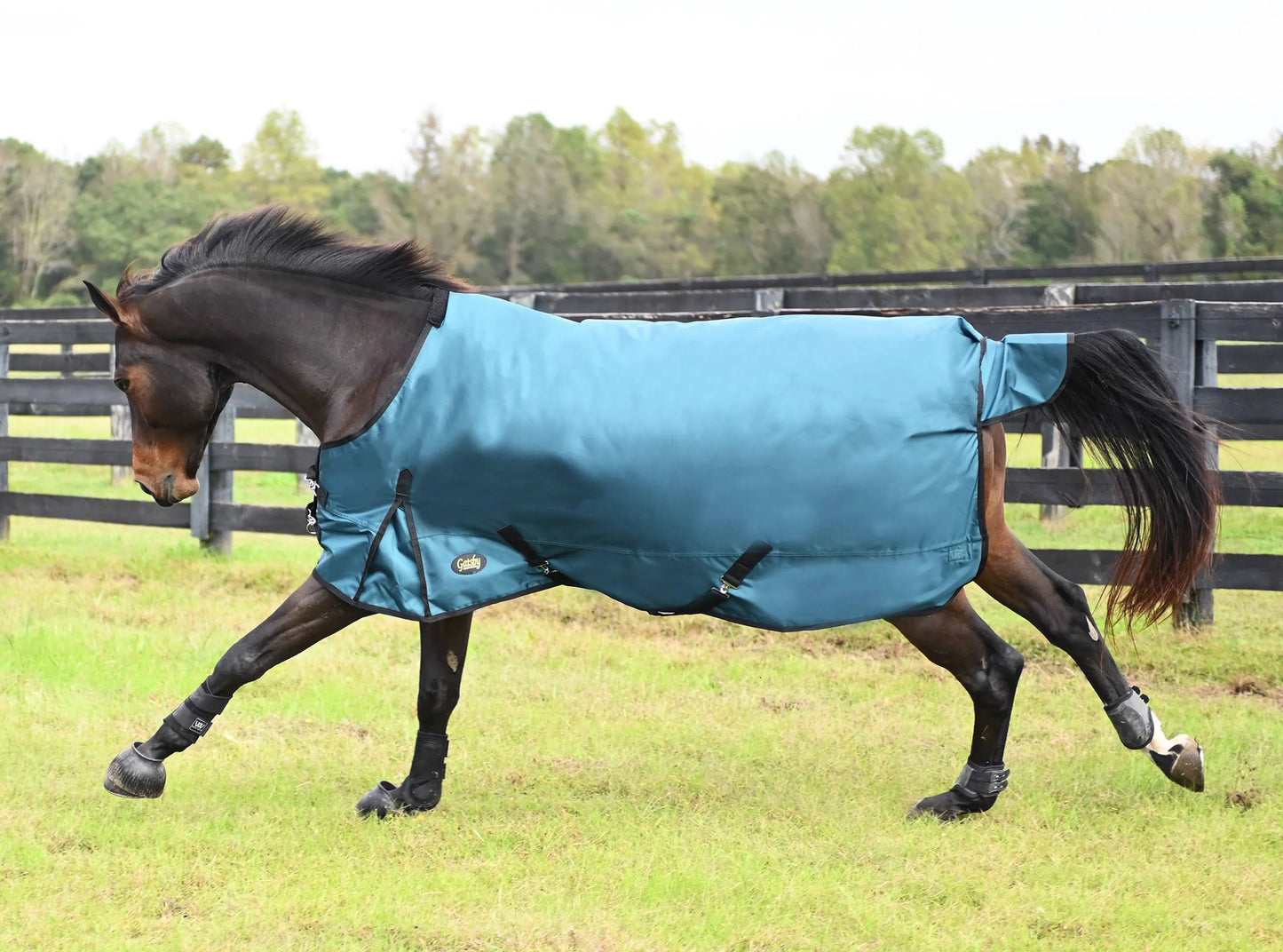 Gatsby Premium 1680D Waterproof Turnout Sheet