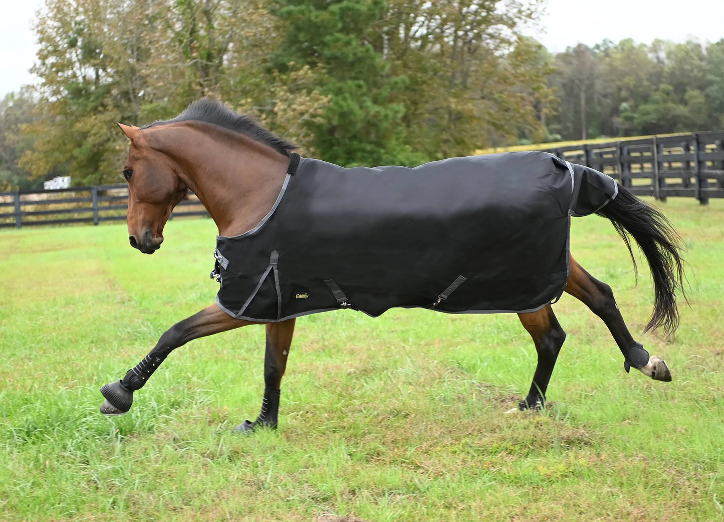 Gatsby Premium 1680D Waterproof Turnout Sheet