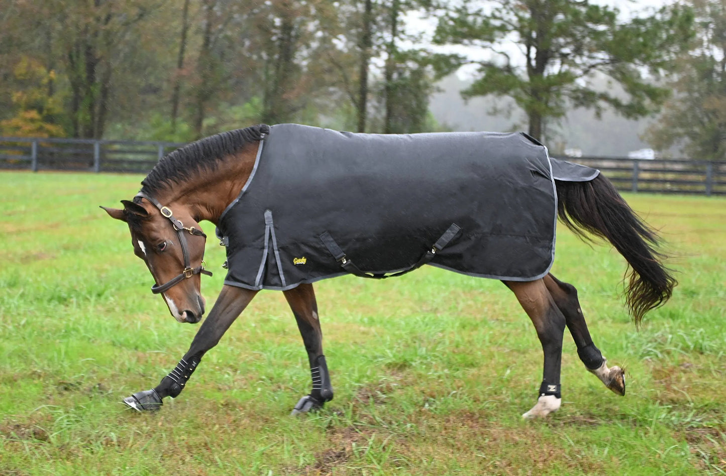 Gatsby Premium 1680D Heavyweight Waterproof Turnout Blanket