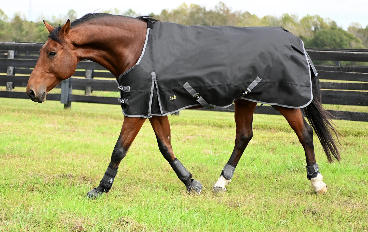 Gatsby Premium 1200D Heavyweight Waterproof Turnout Blanket