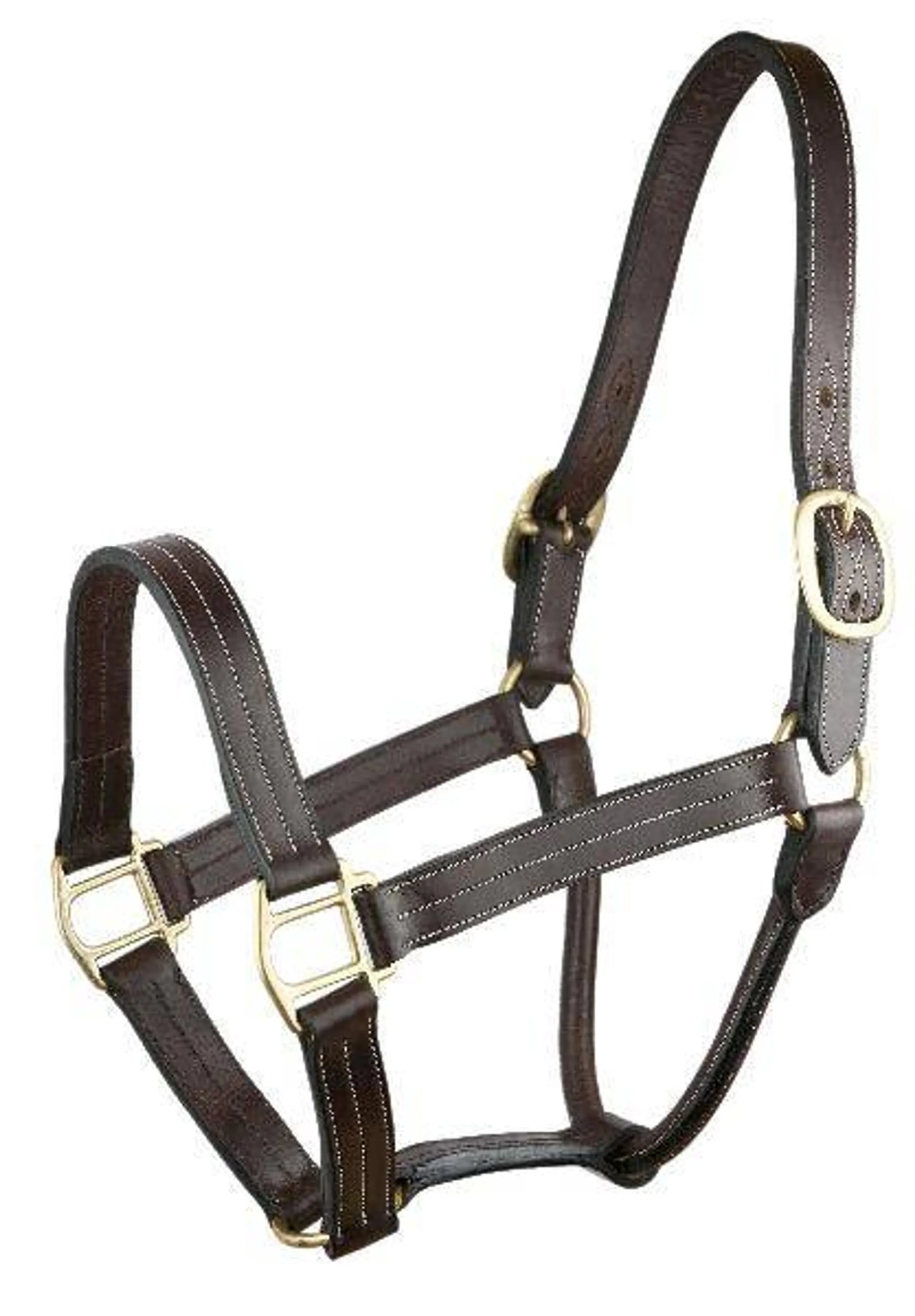 Gatsby Triple Stitched Leather Halter with O Snap