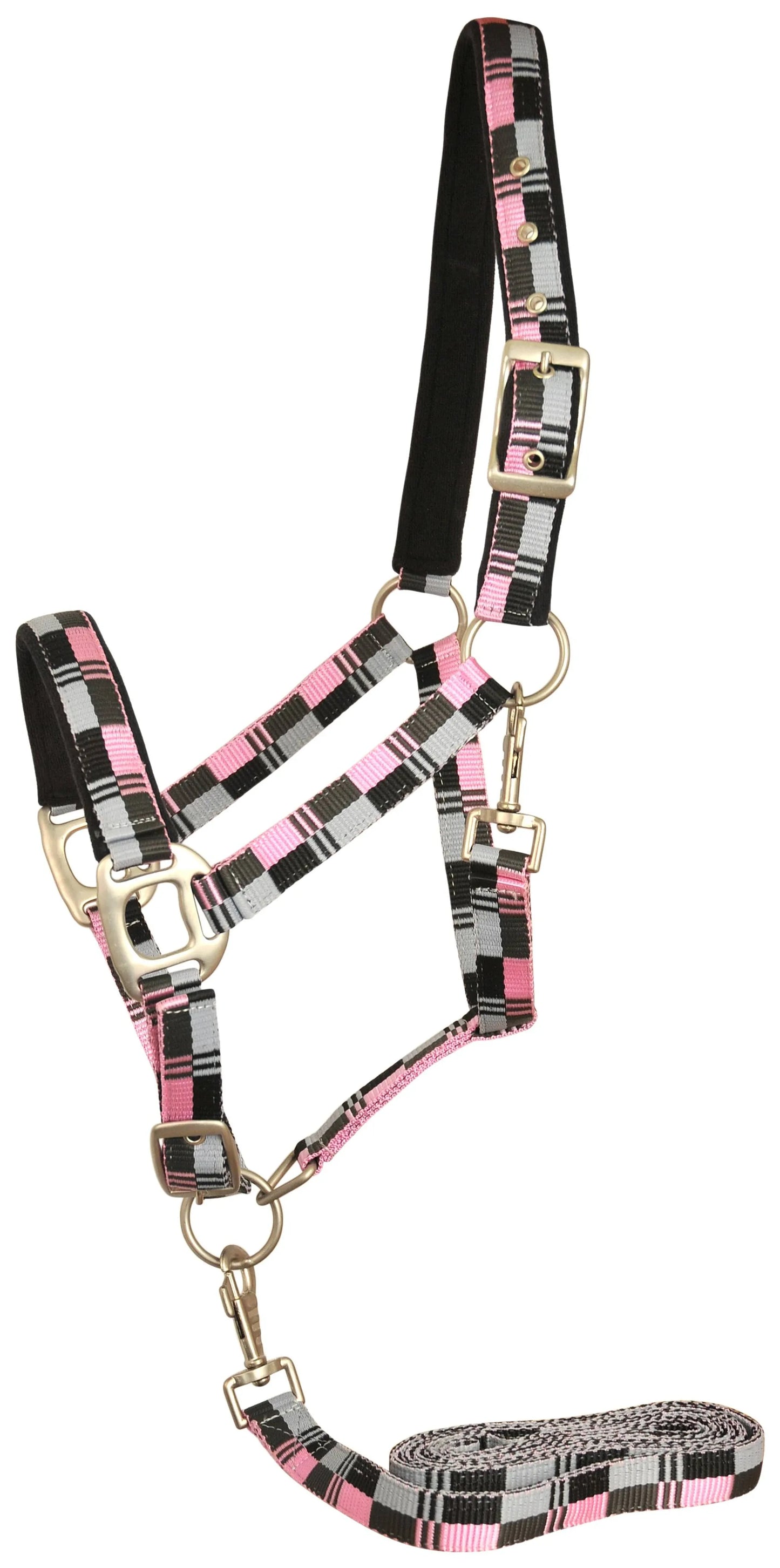 Gatsby Terra Fleece Padded Nylon Halter with Matching Lead