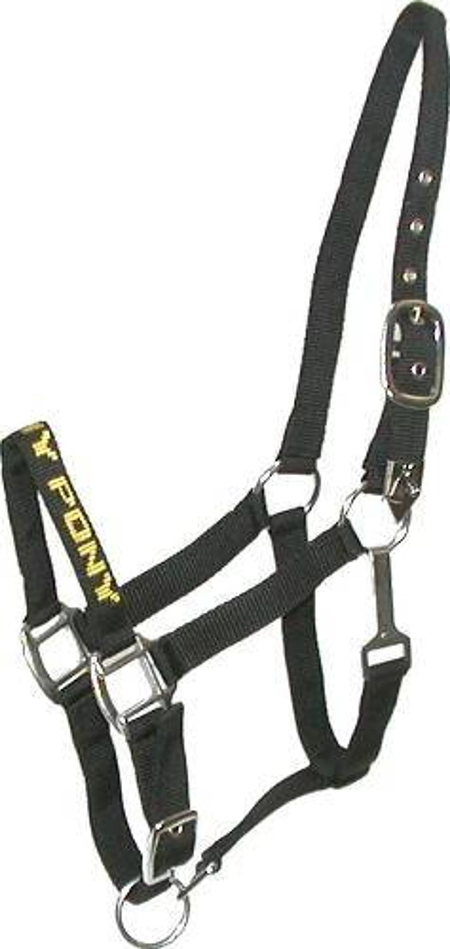 Gatsby I LOVE MY PONY Nylon Halter