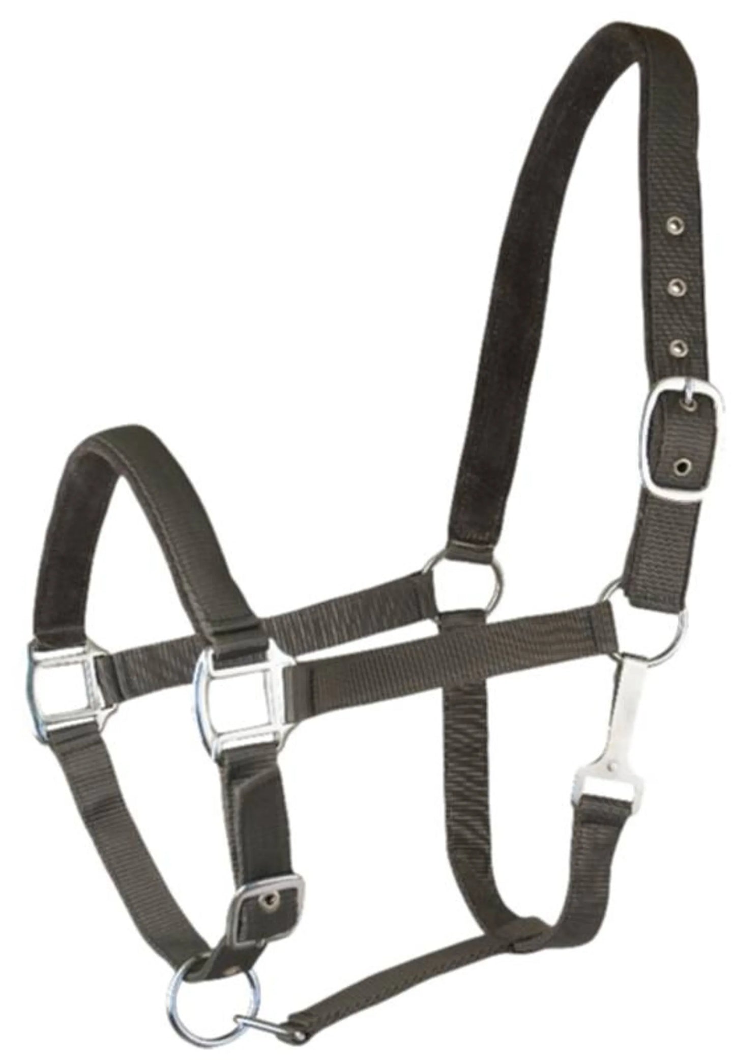 Gatsby Suede Padded Nylon Halter