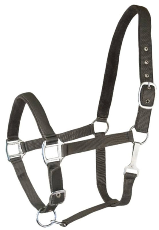 Gatsby Suede Padded Nylon Halter, Multiple Colors