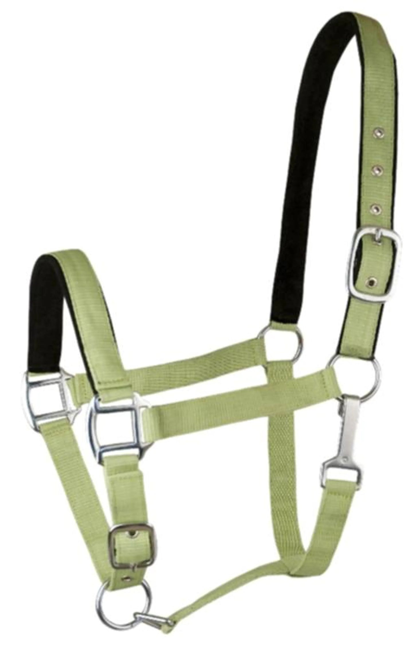 Gatsby Suede Padded Nylon Halter