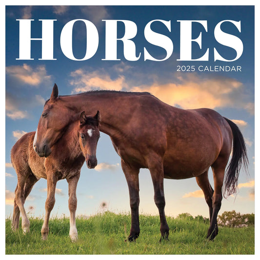 2025 Horses Wall Calendar