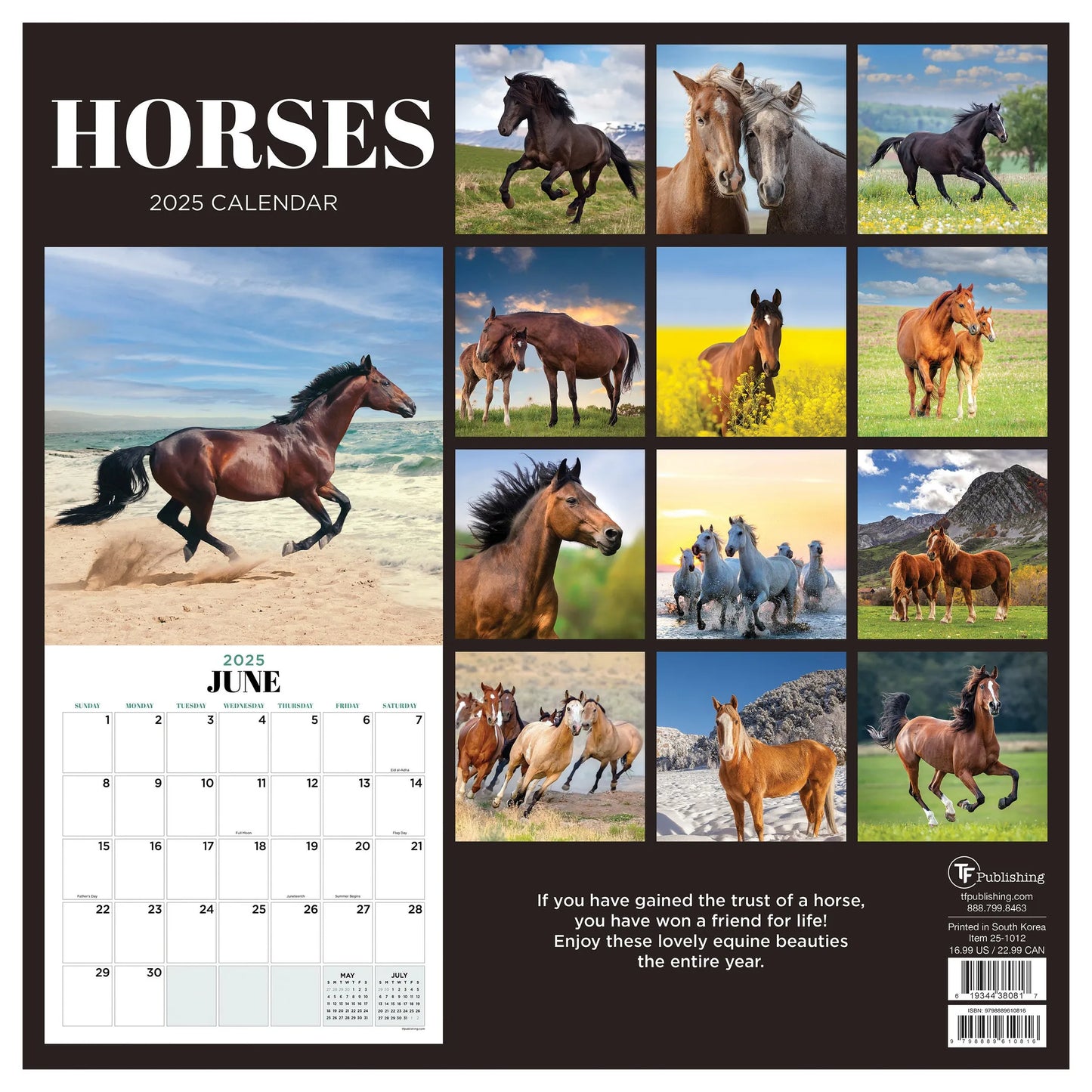 2025 Horses Wall Calendar