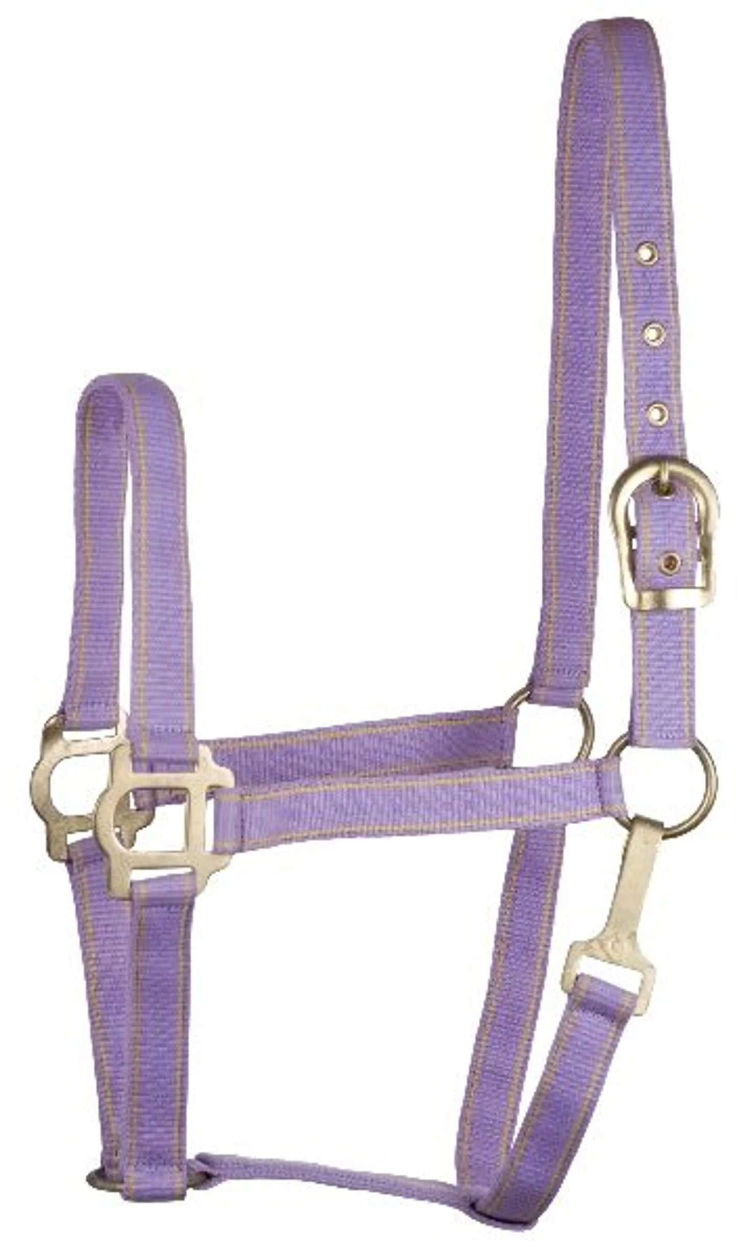 Gatsby Classic 2-Tone Nylon Halter With Snap