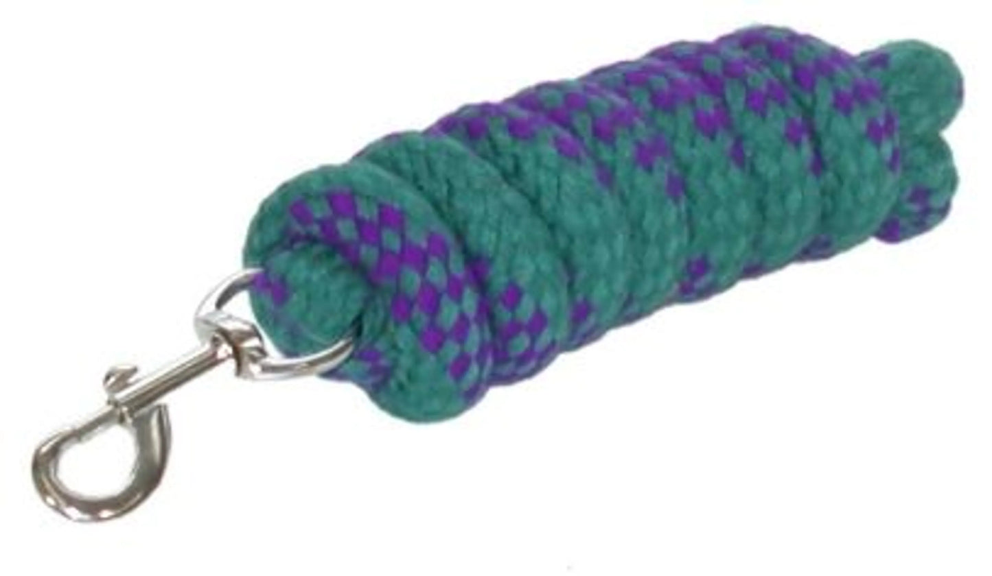 Gatsby Acrylic 6' Lead Rope With Bolt Snap