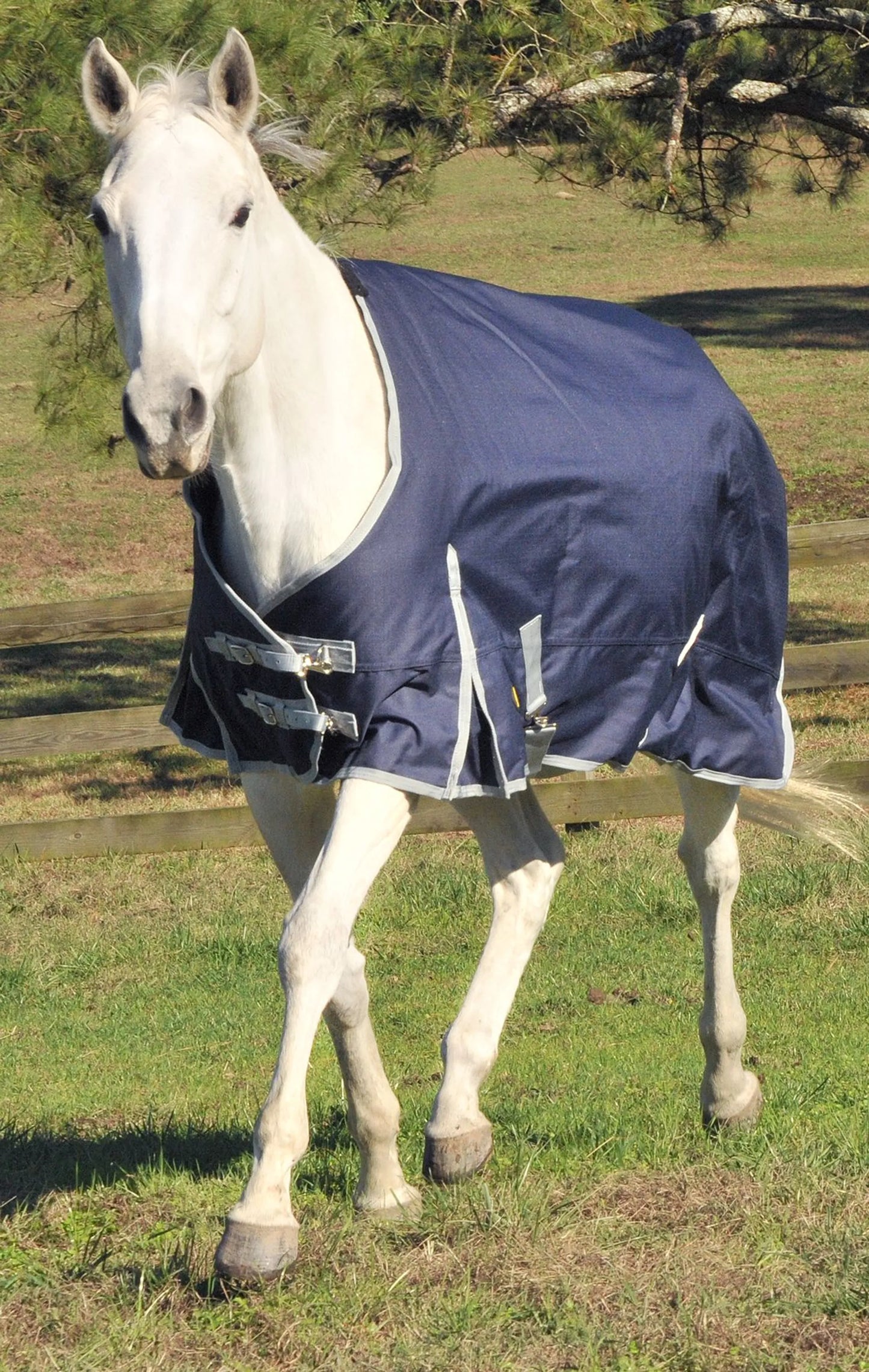 Gatsby Premium 1200D Mediumweight Waterproof Turnout Blanket