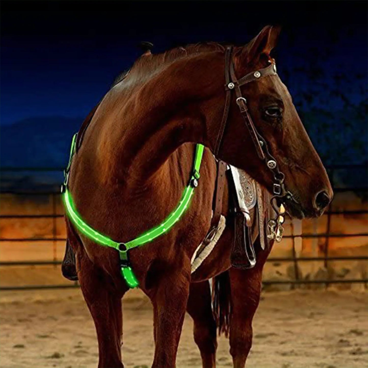 Illuminated Horse Harness